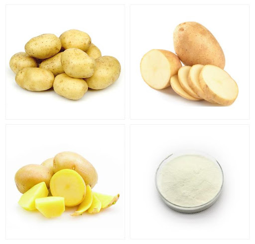 Potato Protein